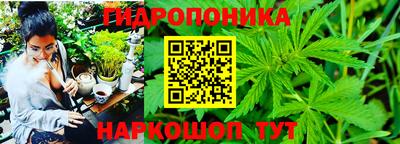 дмт Краснокаменск