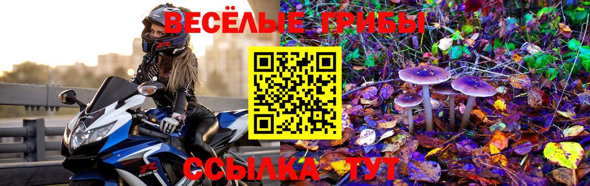 Киселёвск  Галлюциногенные грибы MAGIC MUSHROOMS  Вход с VPN 
